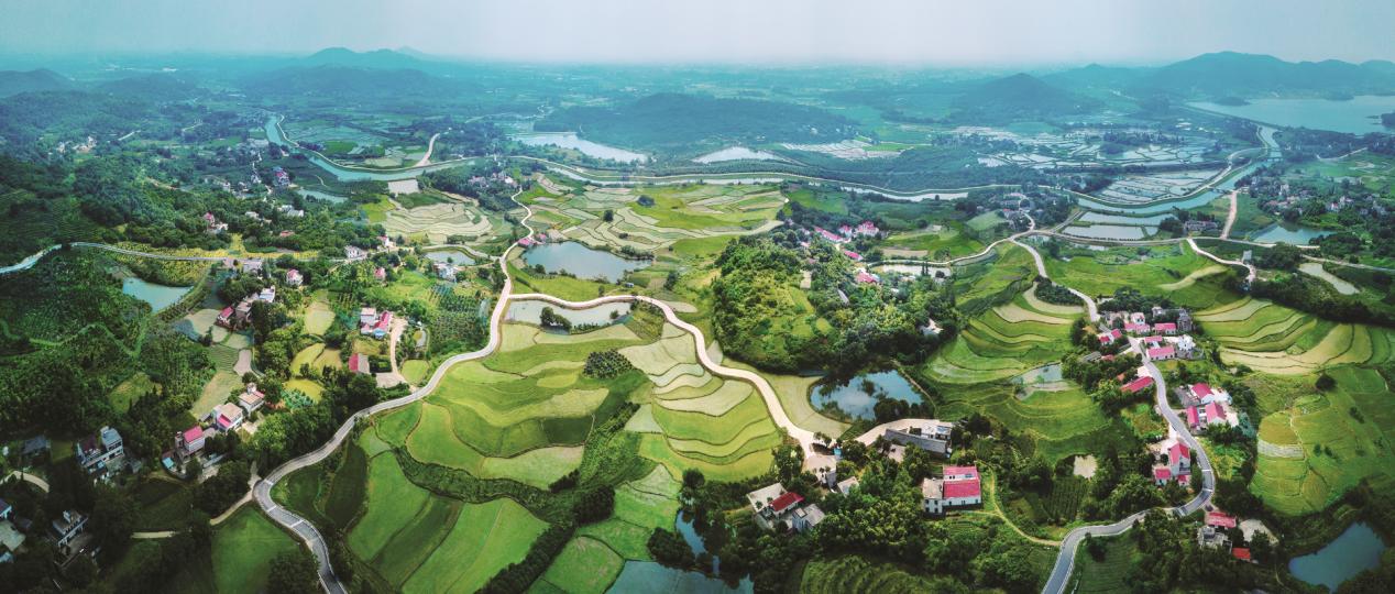 輻射村莊的合肥市農(nóng)村公路網(wǎng)。合肥市交通運(yùn)輸局供圖