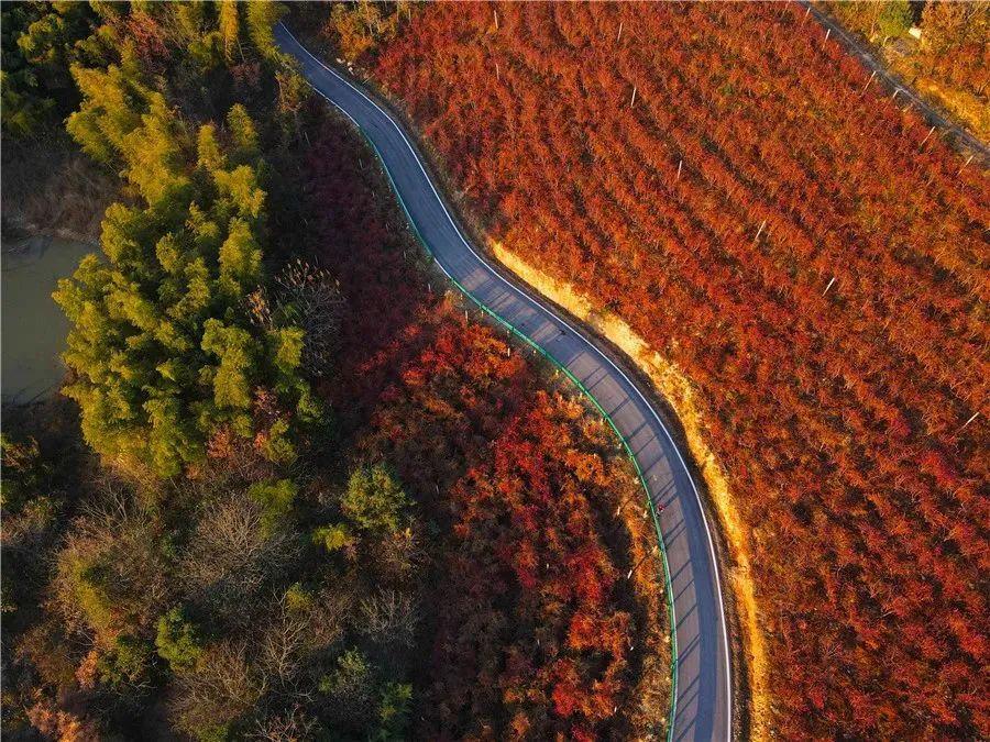 廬江縣集資源路、產(chǎn)業(yè)路、旅游路于一體的“廬南川藏線”。合肥市交通運(yùn)輸局供圖