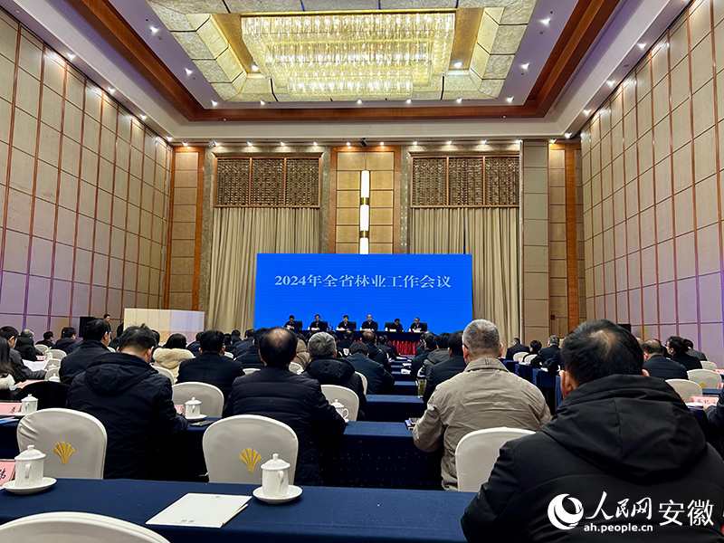 會議現(xiàn)場。人民網(wǎng)記者 高飛躍攝