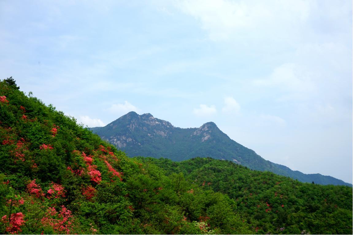 古井園國家級自然保護區(qū)風(fēng)光。岳西縣委宣傳部供圖