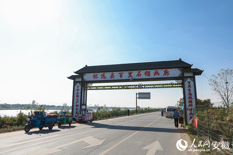 懷遠(yuǎn)縣百里石榴畫廊起點(diǎn)。人民網(wǎng)記者 張俊攝