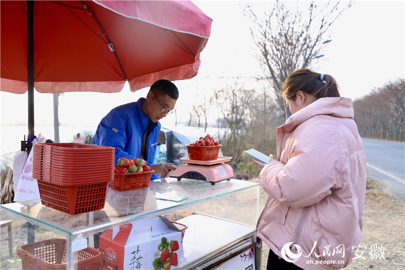 前來(lái)購(gòu)買(mǎi)草莓的顧客絡(luò)繹不絕。人民網(wǎng)記者 陶濤攝